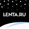 Пара песцов отобедала на улице российского портового города и попала на видео